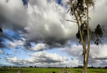 在天涯社区一路同行，品味右岸文字的温暖记忆