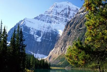 在线冲浪遇见广西圈聊天涯论坛，微天涯尽显桂柳情怀！